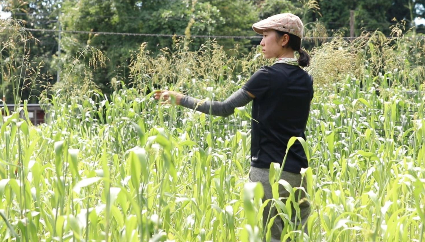 開学10周年、秋田公立美術大学の現在 vol.3  美大生が農家を目指したわけ